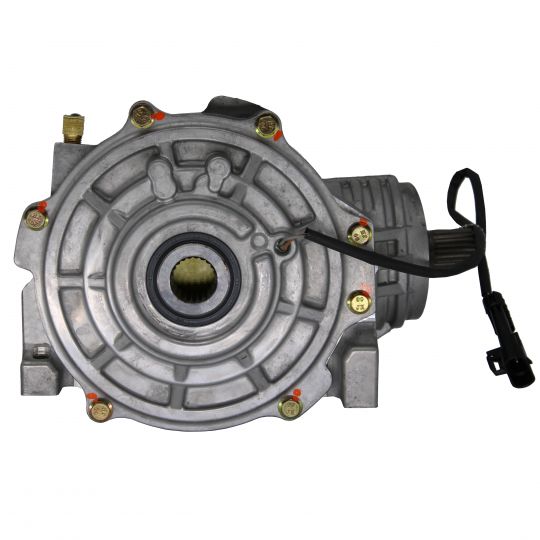 ティガー White-PhotoRoom.png?v=