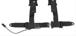 Pro Armor 4 Point 2" AutoStyle Harness (Driver Seat)