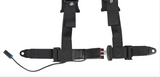 Copy of Pro Armor 4 Point 2" AutoStyle Harness (Passenger Seats)